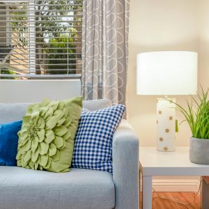 Bright living room featuring a soft sofa with vibrant pillows, a stylish table lamp, and a lush green plant.